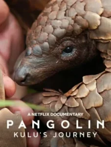 ดูหนังออนไลน์ Pangolin Kulu s Journey (2025) การเดินทางของคูลู